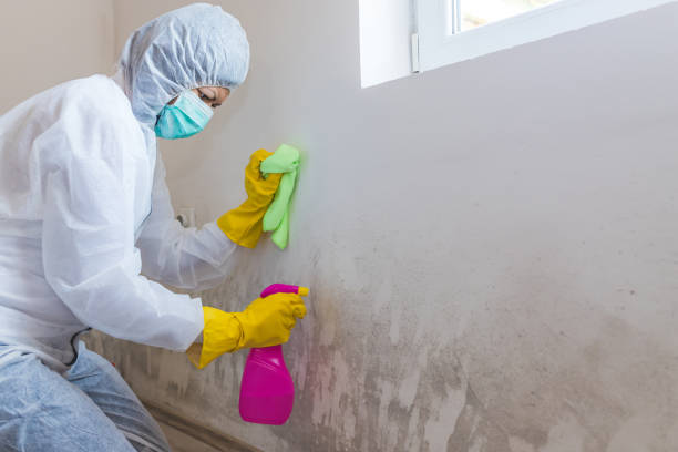 Best Asbestos and Lead Testing During Mold Inspection  in Lyons, WI